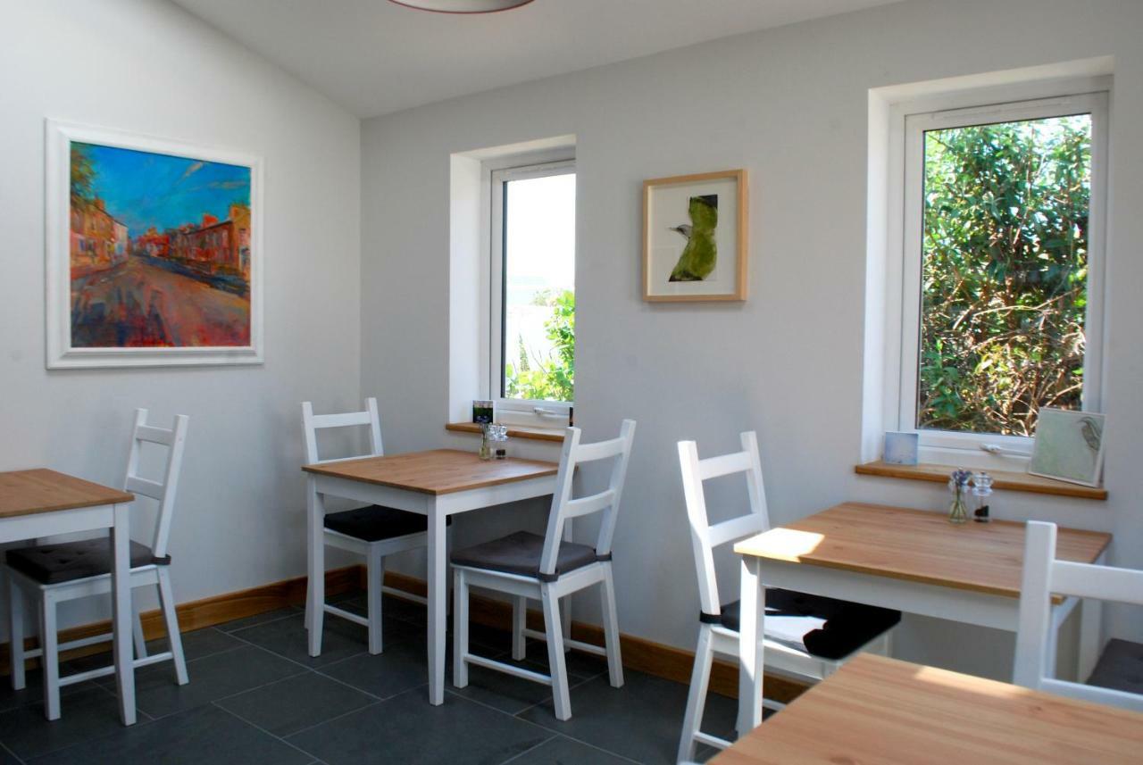 سانت دافيدز Ty Boia Bed & Breakfast المظهر الخارجي الصورة